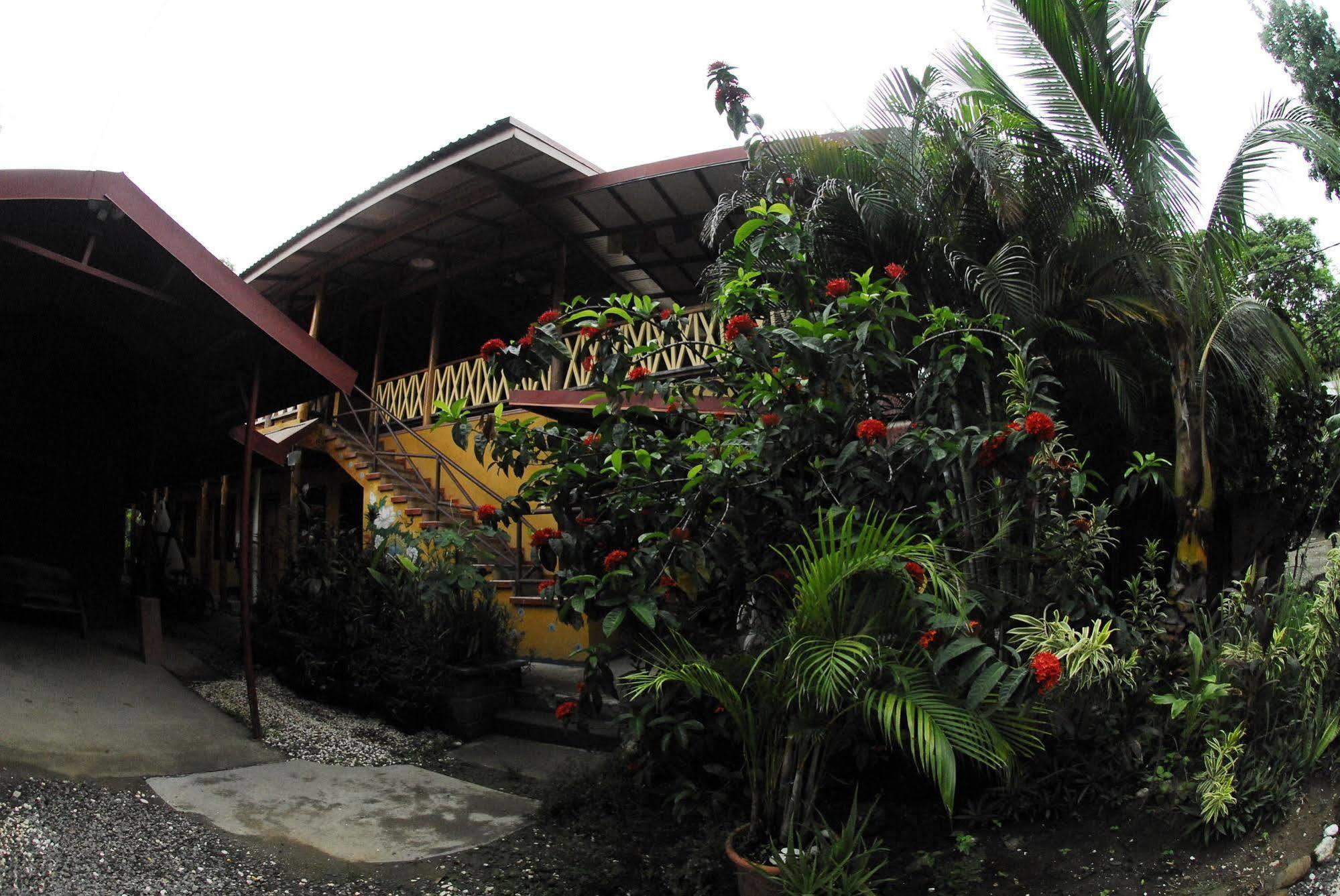 Casa Zen Guesthouse & Yoga Center Playa Santa Teresa  Exterior photo