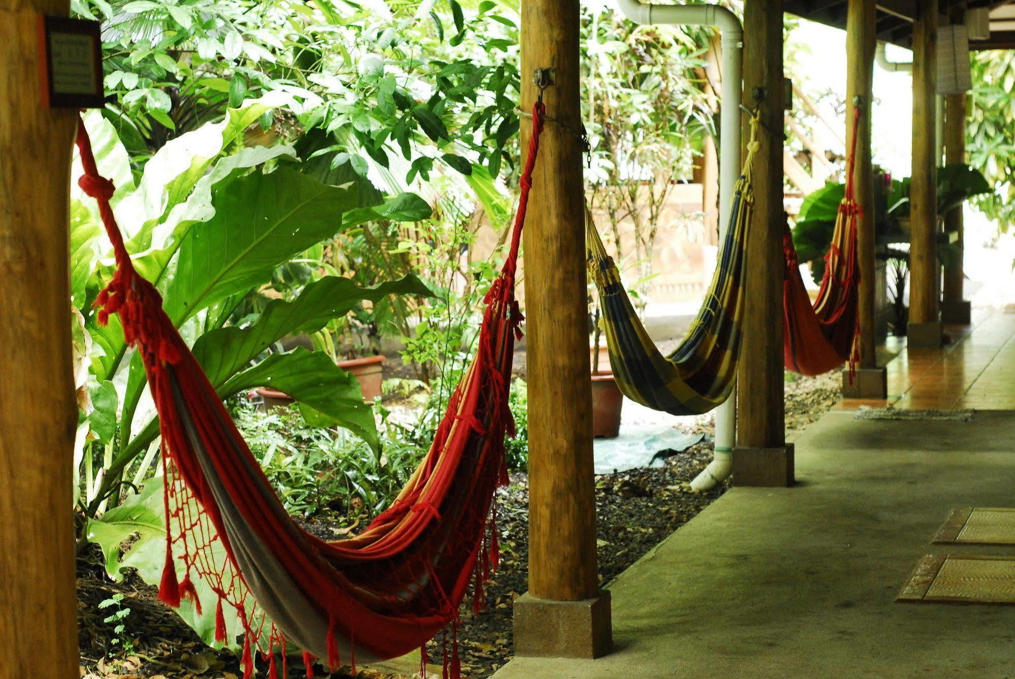 Casa Zen Guesthouse & Yoga Center Playa Santa Teresa  Exterior photo